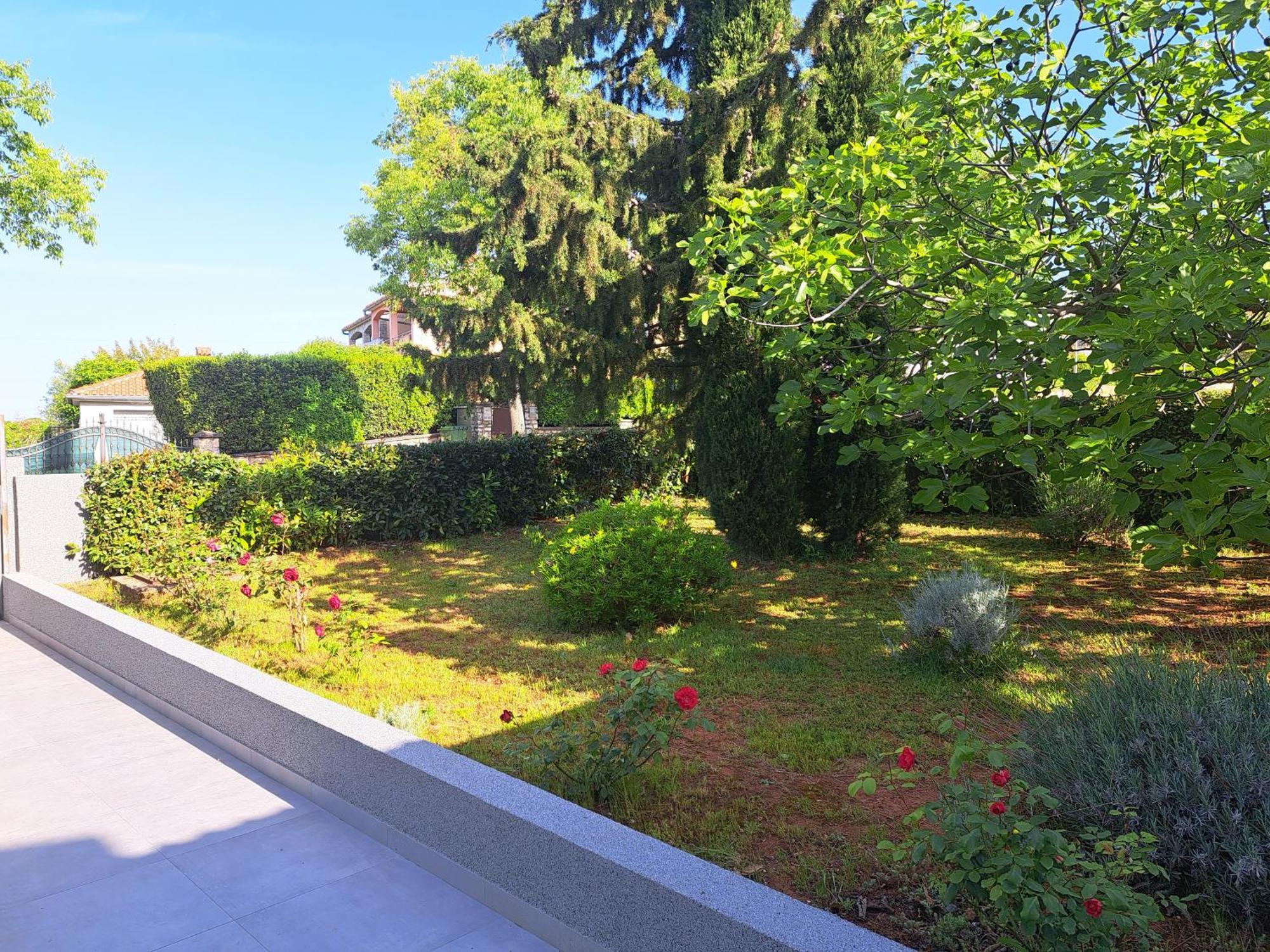 Apartment Elinor 2 Rovinj Ngoại thất bức ảnh